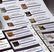 Precut Business Cards Inkjet Glossy  210 g/m˛ A4